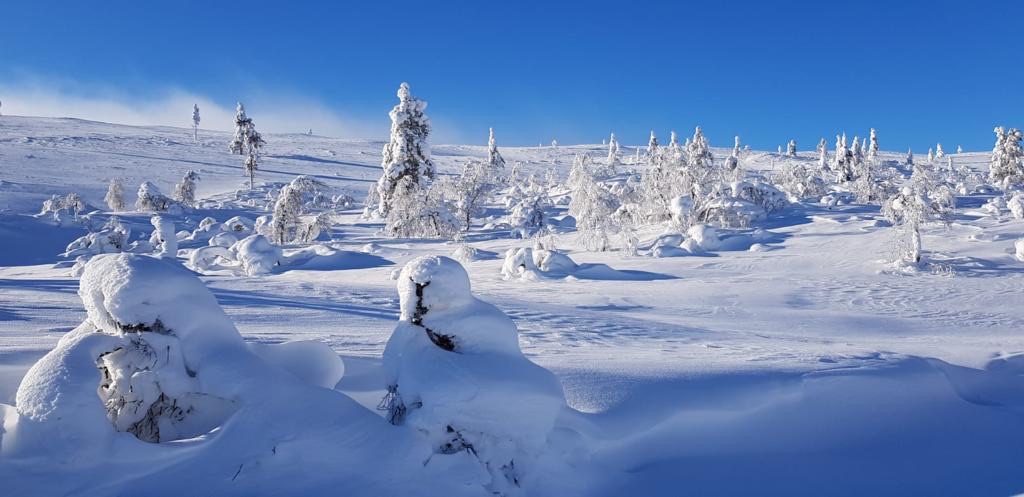 Talvimaisema Kiilopäältä