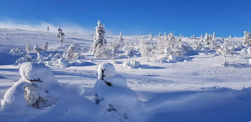 Talvimaisema Kiilopäältä
